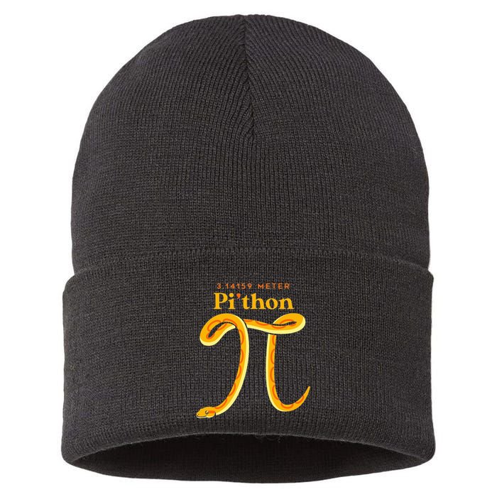Pi Thon Funny Pi Day Ball Python Snake For Teacher Sustainable Knit Beanie