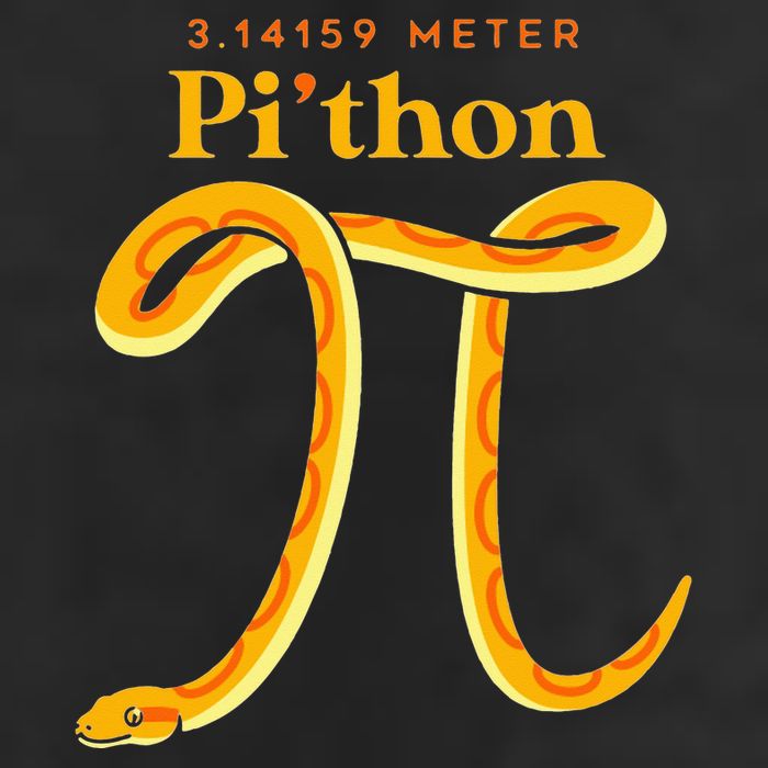 Pi Thon Funny Pi Day Ball Python Snake For Teacher 25L Jumbo Tote