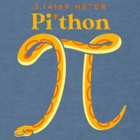 Pi Thon Funny Pi Day Ball Python Snake For Teacher Garment-Dyed Sweatshirt