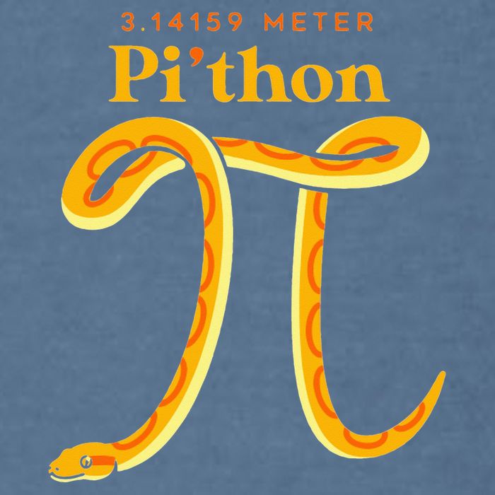 Pi Thon Funny Pi Day Ball Python Snake For Teacher Garment-Dyed Sweatshirt