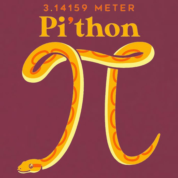 Pi Thon Funny Pi Day Ball Python Snake For Teacher 16oz Travel Tumbler