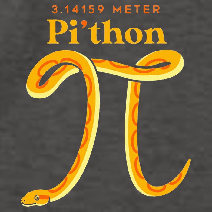 Pi Thon Funny Pi Day Ball Python Snake For Teacher Vector Backpack