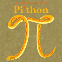 Pi Thon Funny Pi Day Ball Python Snake For Teacher Garment-Dyed Women's Muscle Tee