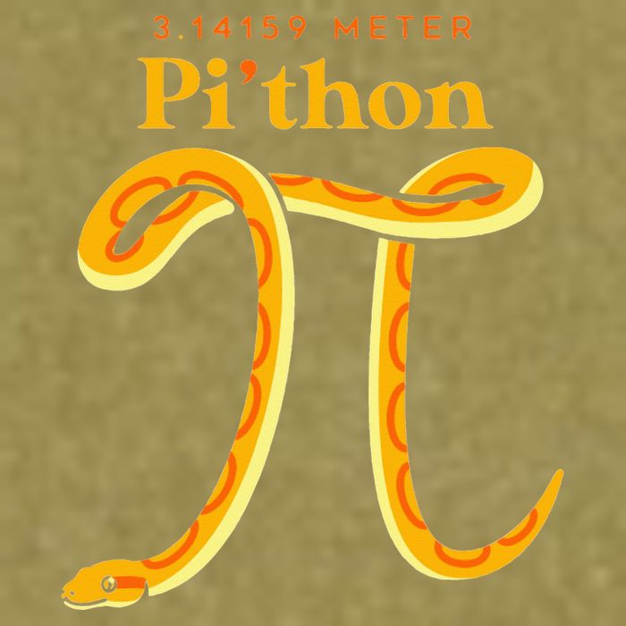 Pi Thon Funny Pi Day Ball Python Snake For Teacher Garment-Dyed Women's Muscle Tee