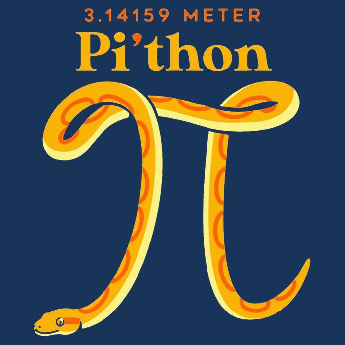 Pi Thon Funny Pi Day Ball Python Snake For Teacher Infant Baby Jersey Bodysuit