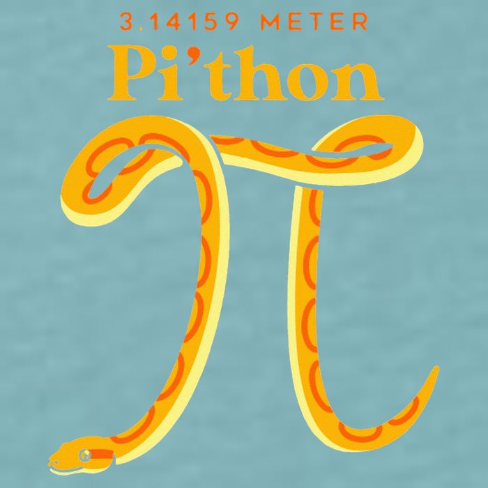 Pi Thon Funny Pi Day Ball Python Snake For Teacher Sueded Cloud Jersey T-Shirt