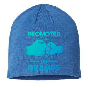 Promoted To Gramps Grandpa Cool Gift Sustainable Beanie