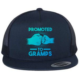 Promoted To Gramps Grandpa Cool Gift Flat Bill Trucker Hat