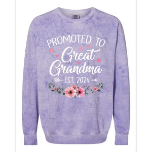 Promoted To Great Grandma Est 2024 First Time New Grandma Colorblast Crewneck Sweatshirt