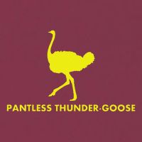 Pantless Thunder Goose Popular Random 16oz Travel Tumbler