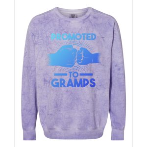 Promoted To Gramps Grandpa Cool Gift Colorblast Crewneck Sweatshirt