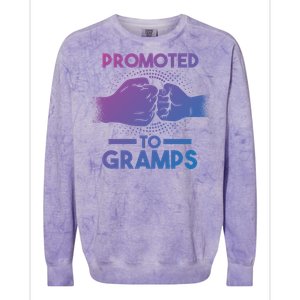 Promoted To Gramps Grandpa Cool Gift Colorblast Crewneck Sweatshirt