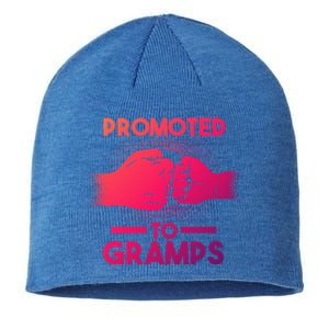 Promoted To Gramps Grandpa Cool Gift Sustainable Beanie