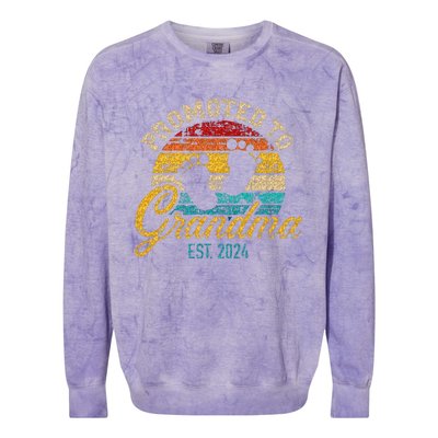 Promoted To Grandma Est 24 Flower Mothers Day New Grandma Colorblast Crewneck Sweatshirt