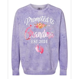 Promoted To Grandma 2024 First Time New Grandma Pregnancy Colorblast Crewneck Sweatshirt