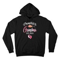 Promoted To Grandma 2024 First Time New Grandma Pregnancy Hoodie