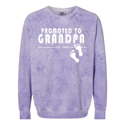 Promoted To Grandpa Established 2024 Colorblast Crewneck Sweatshirt