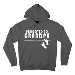 Promoted To Grandpa Established 2024 Hoodie