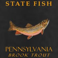Pennsylvania Territory Game Fish The Brook Trout Hat