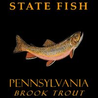 Pennsylvania Territory Game Fish The Brook Trout Cropped Pullover Crew