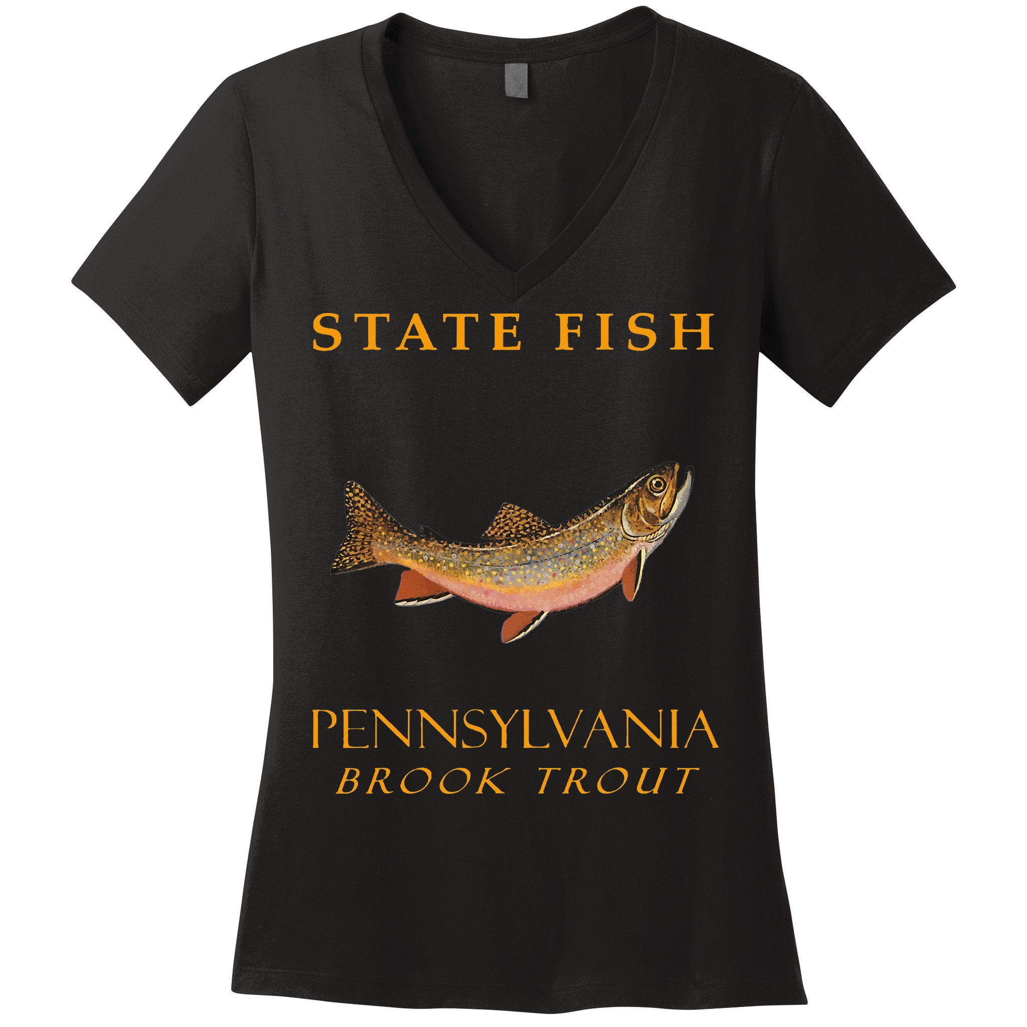Pennsylvania Territory Game Fish The Brook Trout Women's V-Neck T-Shirt