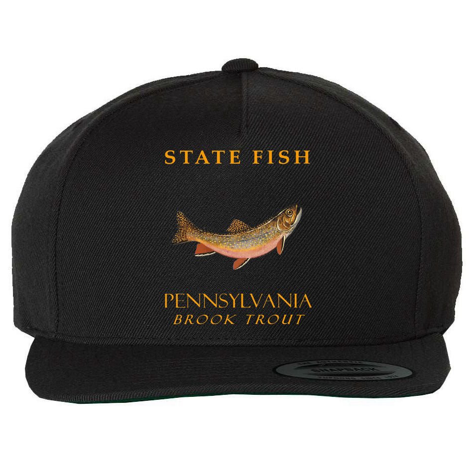 Pennsylvania Territory Game Fish The Brook Trout Wool Snapback Cap