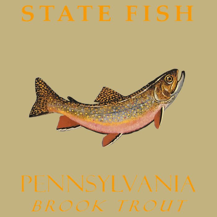 Pennsylvania Territory Game Fish The Brook Trout T-Shirt