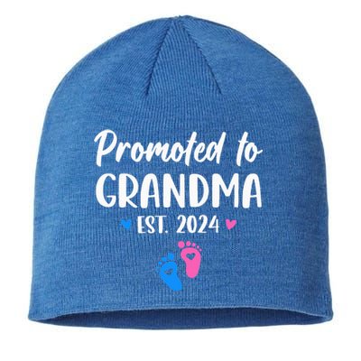 Promoted To Grandma Est 2024 New Grandma Grandmother Sustainable Beanie