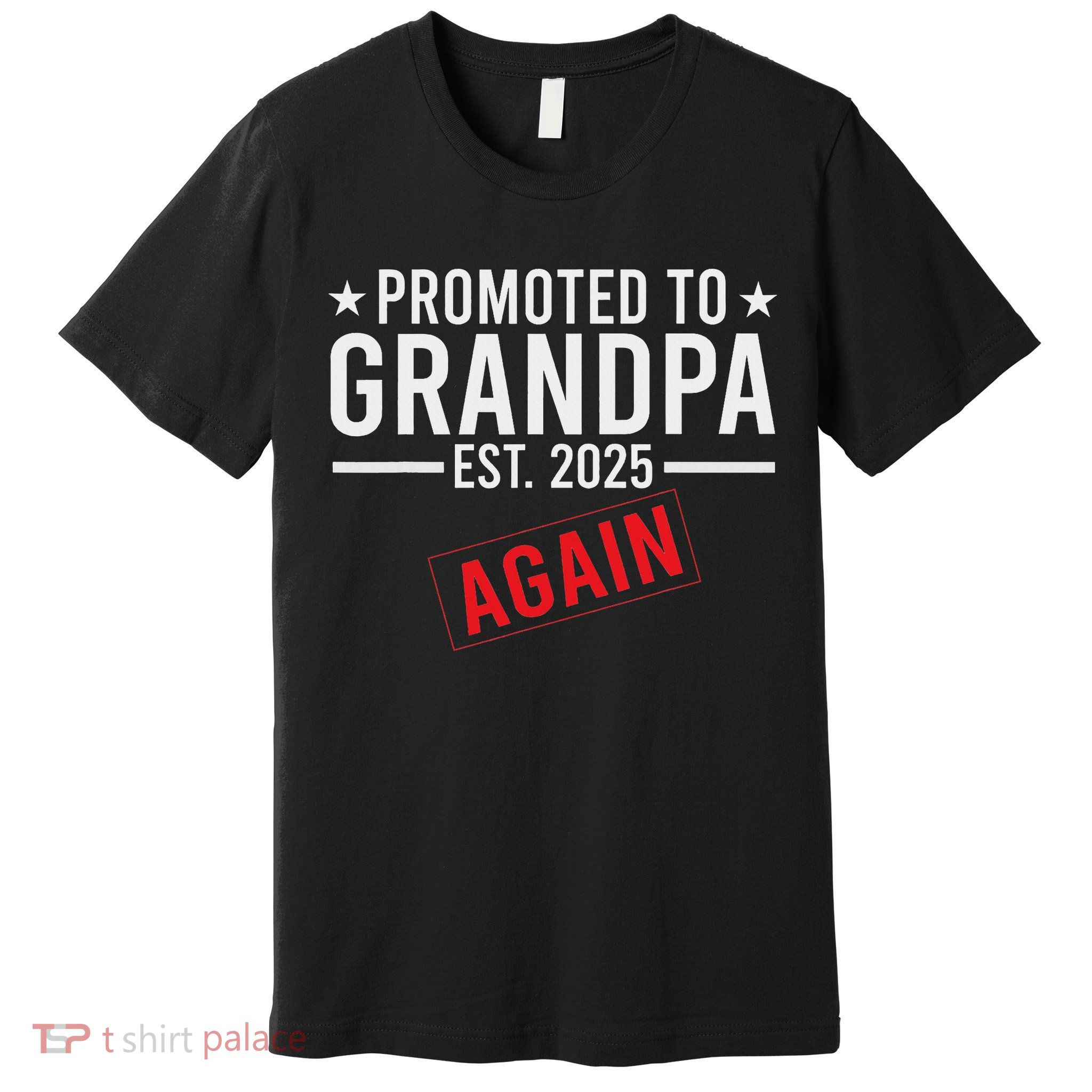 Promoted To Grandpa Again 2025 Baby Announcement Sibling Premium T-Shirt