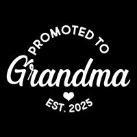 Promoted To Grandma Est 2025 City Backpack