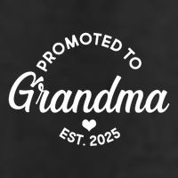 Promoted To Grandma Est 2025 Adult Drive Performance Visor