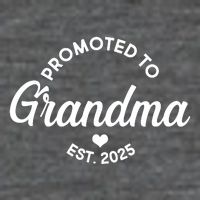 Promoted To Grandma Est 2025 7 Panel Mesh Trucker Snapback Hat