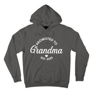 Promoted To Grandma Est 2025 Hoodie