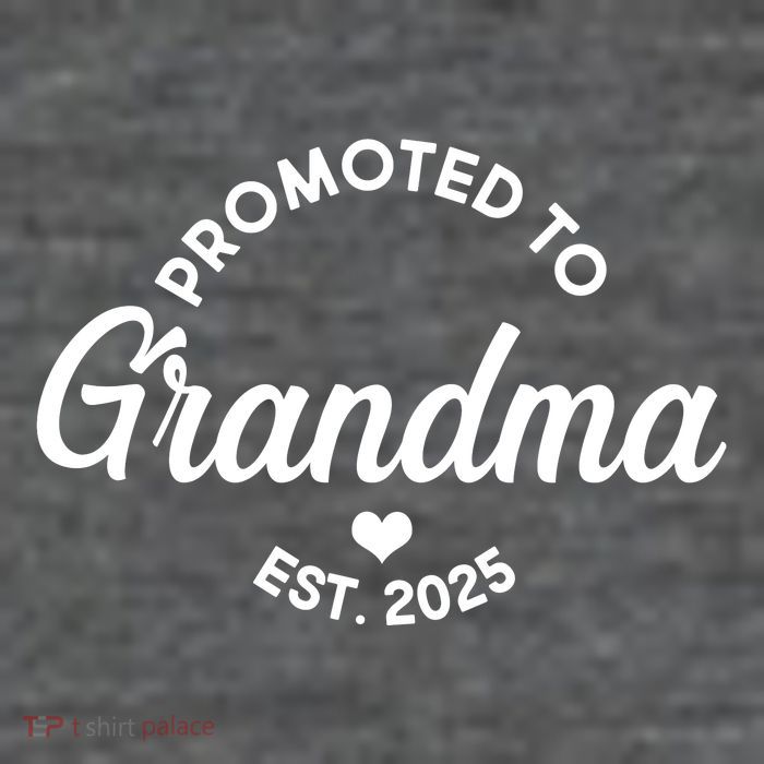 Promoted To Grandma Est 2025 Toddler T-Shirt