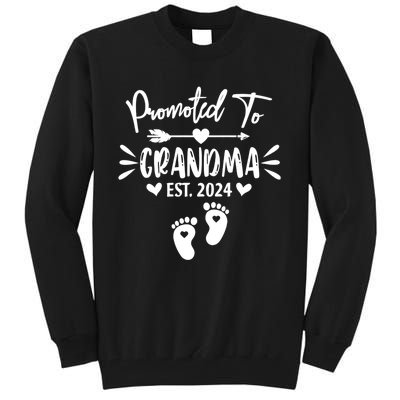 Promoted To Grandma Est 2024 New Grandma Women Grandmother Tall Sweatshirt