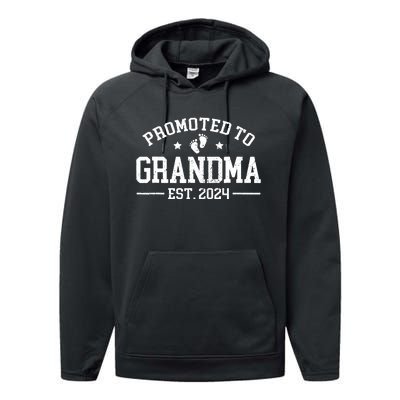 Promoted To Grandma Est 2024 Grandparents Baby Announcement Performance Fleece Hoodie