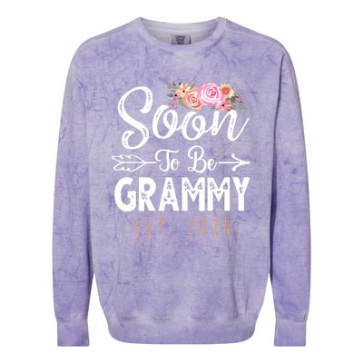 Promoted To Grammy 2024 Mothers Day Soon To Be Grandma 2024 Colorblast Crewneck Sweatshirt