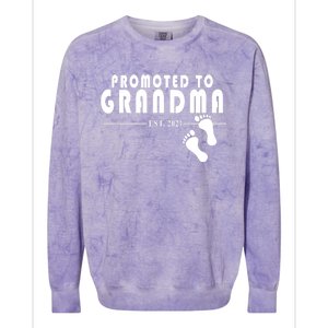 Promoted To Grandma Established 2024 Colorblast Crewneck Sweatshirt