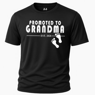 Promoted To Grandma Established 2024 Performance Shirt