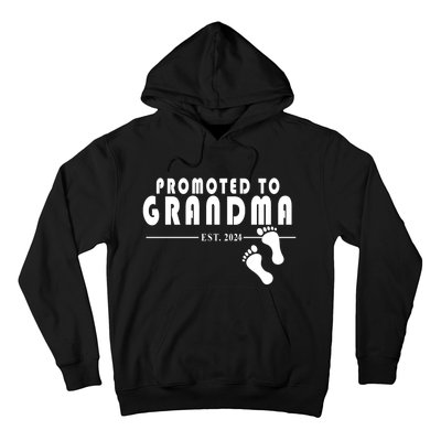 Promoted To Grandma Established 2024 Hoodie