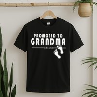 Promoted To Grandma Established 2024 T-Shirt