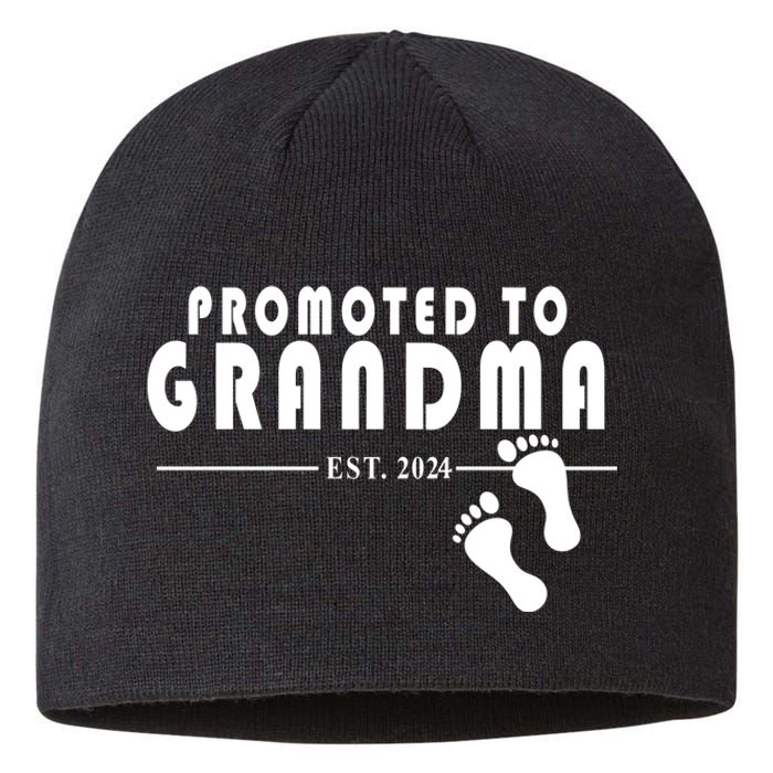 Promoted To Grandma Established 2024 Sustainable Beanie