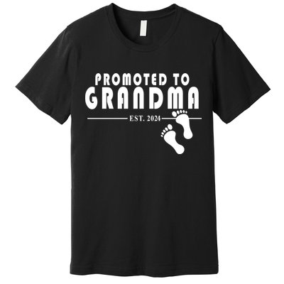 Promoted To Grandma Established 2024 Premium T-Shirt