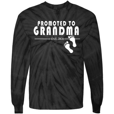 Promoted To Grandma Established 2024 Tie-Dye Long Sleeve Shirt