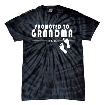 Promoted To Grandma Established 2024 Tie-Dye T-Shirt