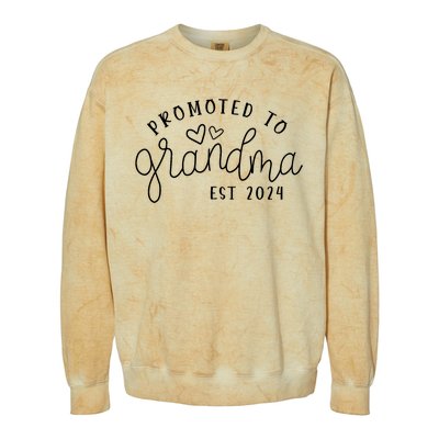 Promoted To Grandma Est 2024 New Grandma Mothers Day Colorblast Crewneck Sweatshirt