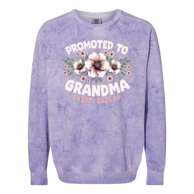 Promoted To Grandma Est. 2024 Grandparents Baby Announcement Colorblast Crewneck Sweatshirt