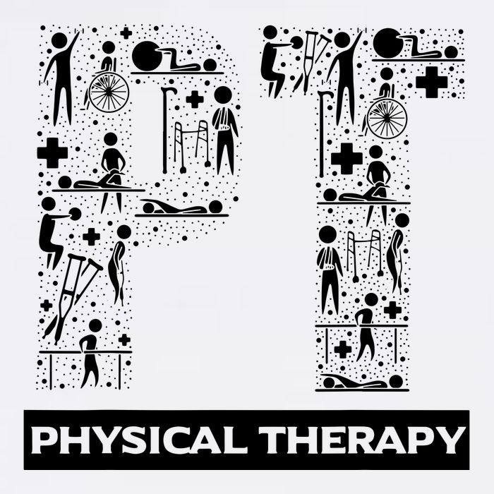 Physical Therapy Gait Training Physiotherapy Therapist Gift T-Shirt