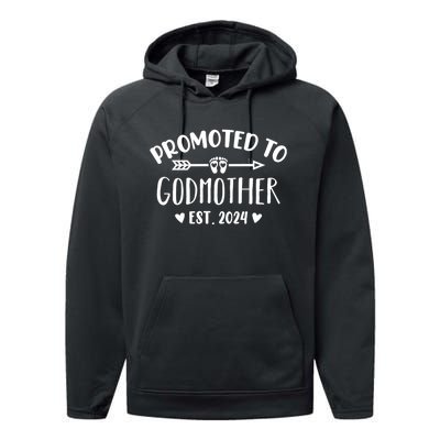 Promoted To Godmother Est. 2024 Future Godmother Performance Fleece Hoodie