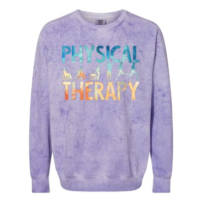 Physical Therapy Gift Physical Therapist Assistant Colorblast Crewneck Sweatshirt